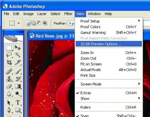 Adobe View menu