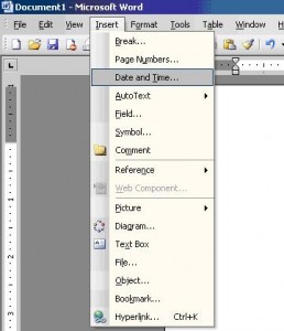 how to edit footer in word xp