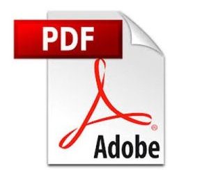 PDF