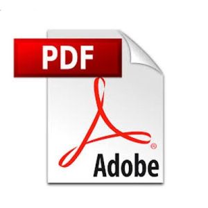 PDF