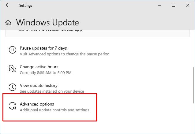 Windows 10 Advanced Update options