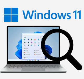 Search in Windows 11