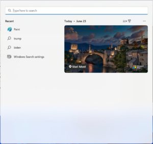 Windows 11 search