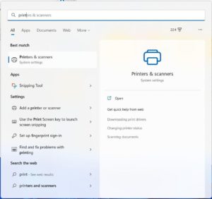 Windows 11 searching
