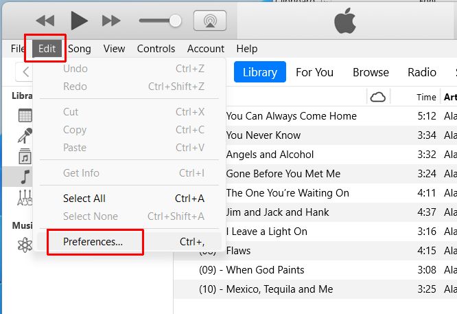 iTunes Edit Playback Preferences