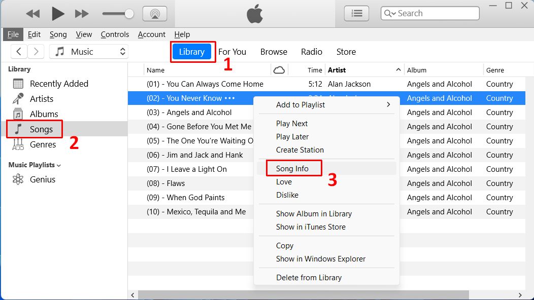 Edit MP3 settings in iTunes
