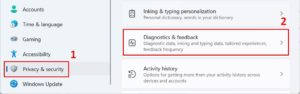 Windows 11 Diagnostics