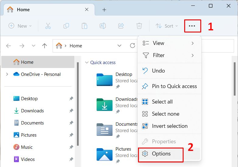 Windows 11 File Explorer Options